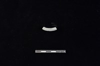 陶環藏品圖，第2張